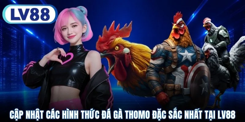 Cập nhật các hình thức đá gà Thomo đặc sắc nhất tại LV88